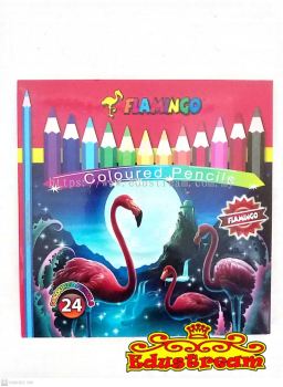 Flamingo 24L Color Pencils