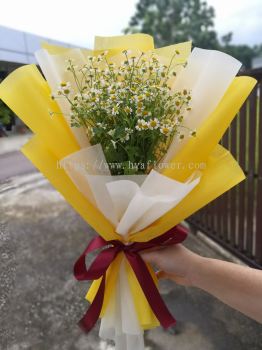 Matricaria Hand Bouquet