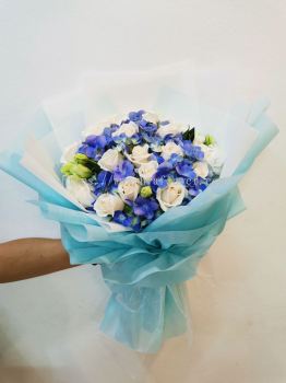 Hydragea Blue Mix Rose
