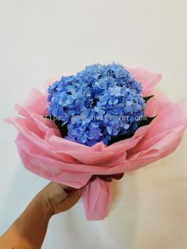 Hydrangea Small Bouquet 01