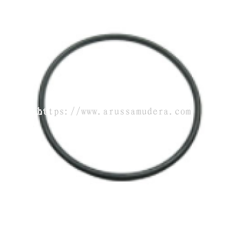 O RING MS29561-227