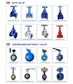 GATE VALVE