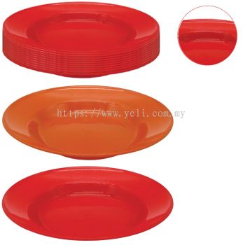 PLASTIC PLATE