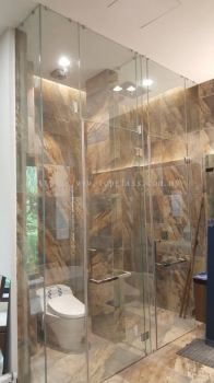Tempered Clear Glass Shower Door & Panel