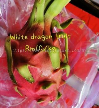 White dragon fruit Vietnam
