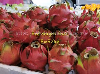Red dragon fruit A