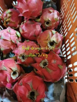 Red dragon fruit AAA