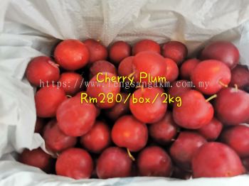 Cherry plum Australia
