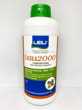 LEILI 2000