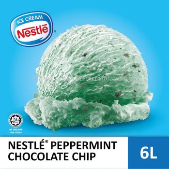 Nestle Peppermint Chocolate Chip 6L