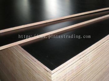 Tego Plywood / Phenolic Plywood