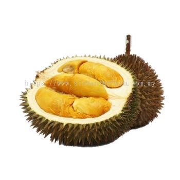 DURIAN 101