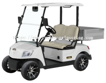 FUSHEN 2 Seater with Cargo Box Golf Cart Model : DG-M2S