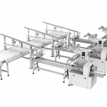 Production Line With Auto Feeding Conveyor
