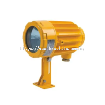 BAK51 Series Tank Inspection Vessel LED Light Fittings Explosion Proof IP66 35W 50W