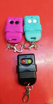 Duplicate Gate Remote Control