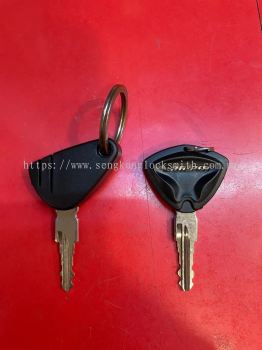 Duplicate Motor key with Chip