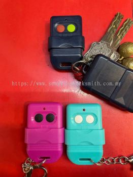 Duplicate gate remote control