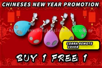 Chinese New Year Promotion