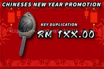 Chinese New Year Promotion