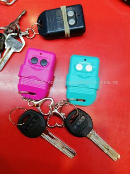 duplicate auto gate remote control