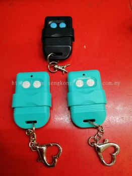 Duplicate auto gate remote control