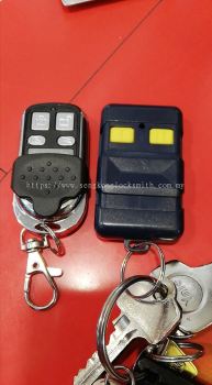 Duplicate auto gate remote control