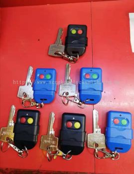 Duplicate auto gate remote control