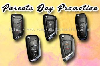 Promotion car flip key control 