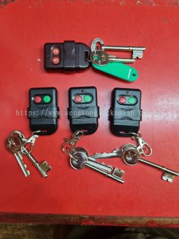 auto gate remote control