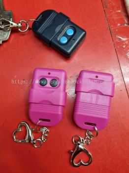 auto gate remote control