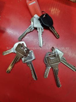 duplicate key