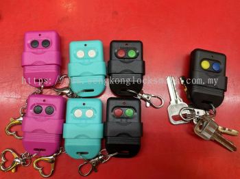 duplicate auto gate remote control