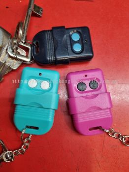 duplicate auto gate remote control