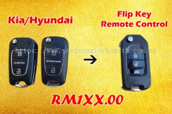 promotion Kia/Hyundai car flip key remote control