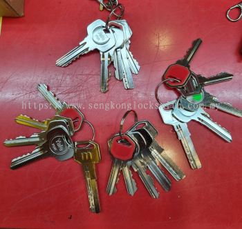 office key and house key duplicate