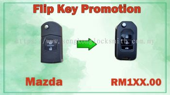 Car key remote control Promotion 2022