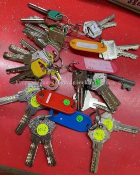 office door key, dimple key , glass door key