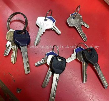 dimple key, house key, padlock key, 