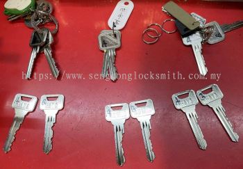 dimple key, house key, padlock key, 