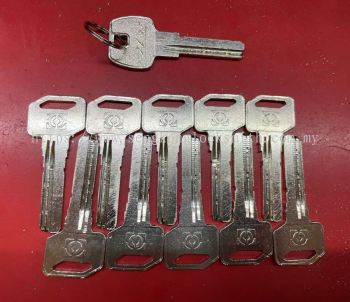office door key (dimple key)