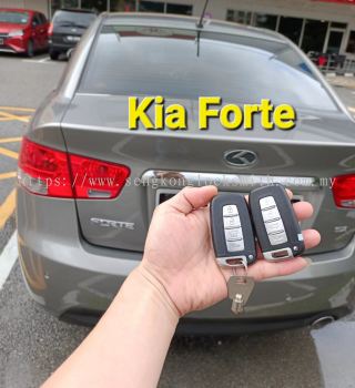 Professional duplication of car keys and car remote