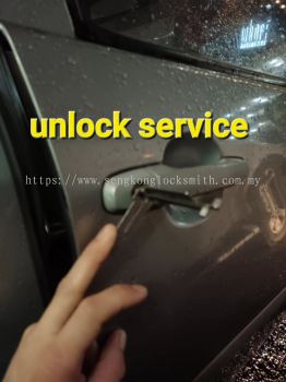 Professional Unlocking Service