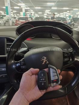 Professional Duplicate Car Keys