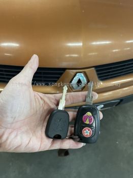 Professional Duplicate Car Keys