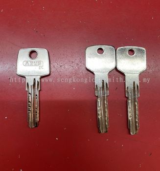 Professional Duplicate Key