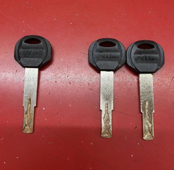 Professional Duplicate Key