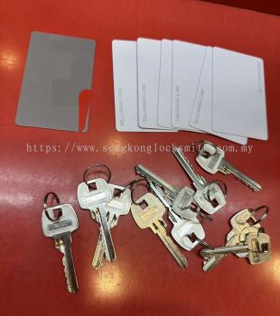 duplicate house and office door keys 