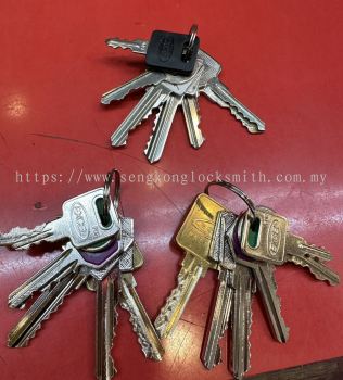 duplicate house and office door keys 