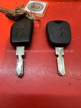 Professional Duplicate Key